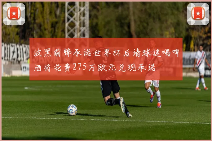波黑前锋承诺世界杯后请球迷喝啤酒将花费275万欧元兑现承诺