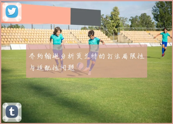 乔约翰逊分析莫兰特的打法局限性与适配性问题